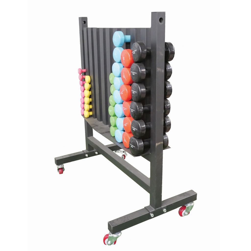 Haltère Fit & Rack 17,5kg - Haltères - Musculation - Entretien Physique